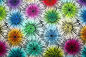 Preview: Designer- Baumwollstoff Bloom multicolor (10 cm)